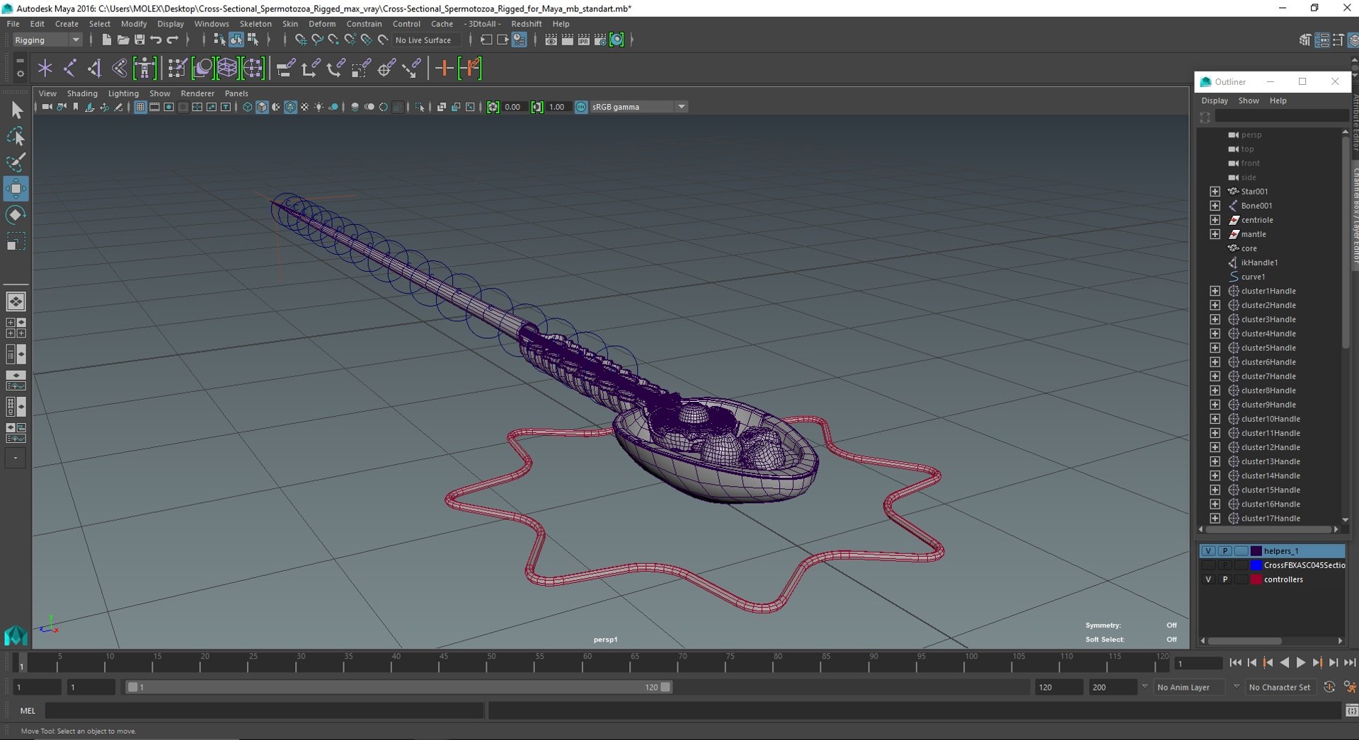3D Cross-Sectional Spermotozoa Rigged for Maya https://p.turbosquid.com/ts-thumb/yV/tuNFAI/iw/crosssectionalspermotozoariggedformayavray3dmodel039/jpg/1686019971/1920x1080/fit_q87/0a7f1f7b10cfbff5d8f0872aac01b6f5412a1c8d/crosssectionalspermotozoariggedformayavray3dmodel039.jpg