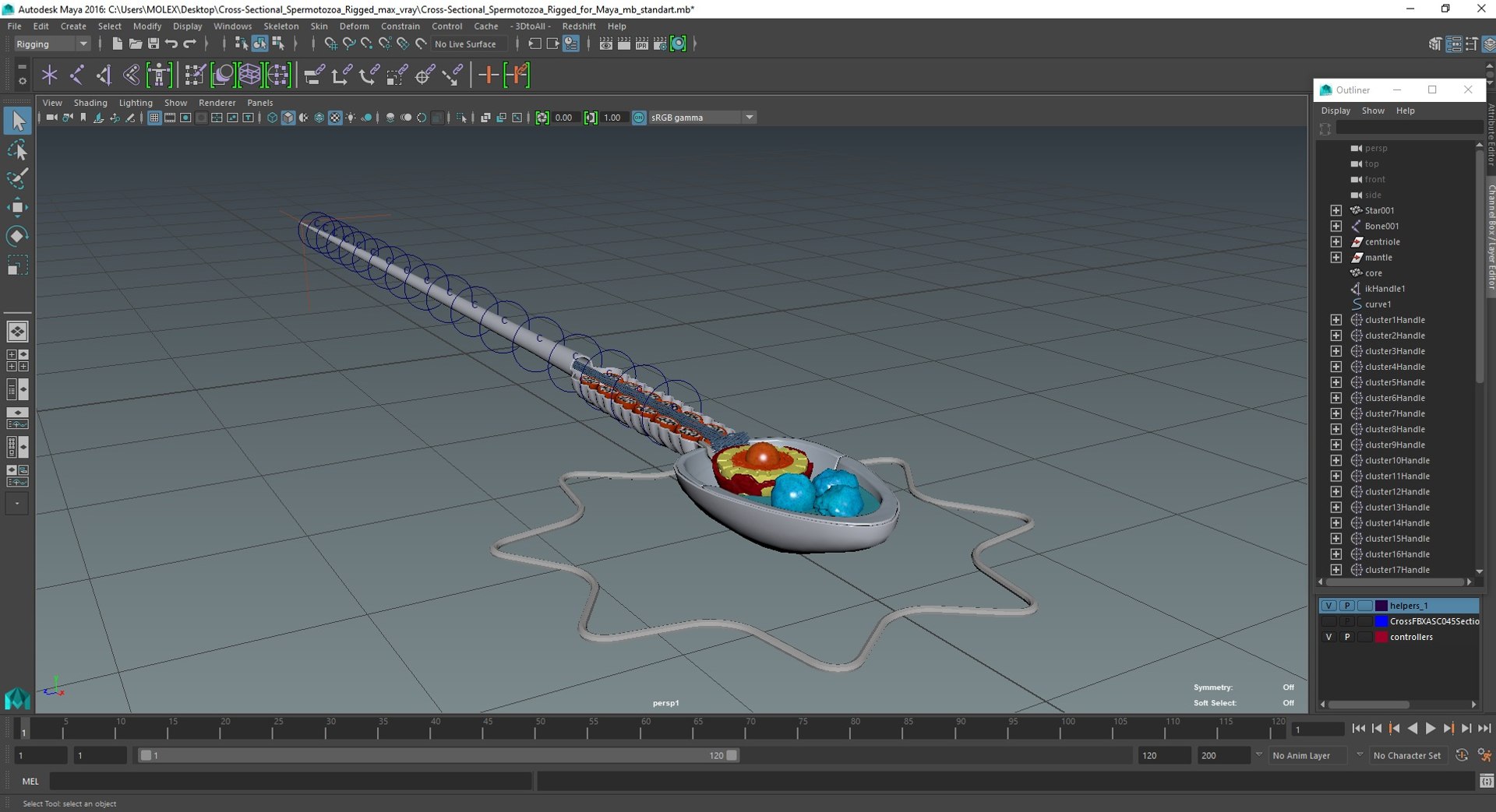 3D Cross-Sectional Spermotozoa Rigged for Maya https://p.turbosquid.com/ts-thumb/yV/tuNFAI/xw/crosssectionalspermotozoariggedformayavray3dmodel038/jpg/1686019967/1920x1080/fit_q87/8b784841c33422b761b9f08f9bc106f71c97a4cf/crosssectionalspermotozoariggedformayavray3dmodel038.jpg