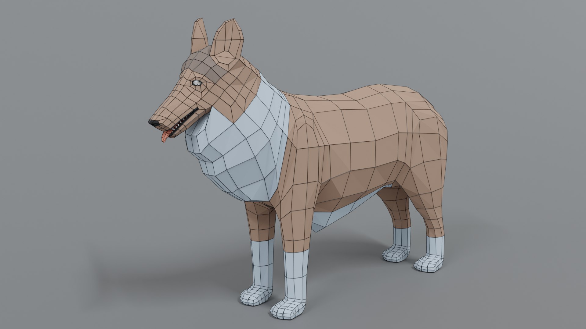 rough collie dog 3D model https://p.turbosquid.com/ts-thumb/yV/zR6ZWX/D1aTmy9W/collie_10wire/png/1605651205/1920x1080/fit_q87/1bf5a7bf19fb297264c1388e74d23503ca2d9dac/collie_10wire.jpg