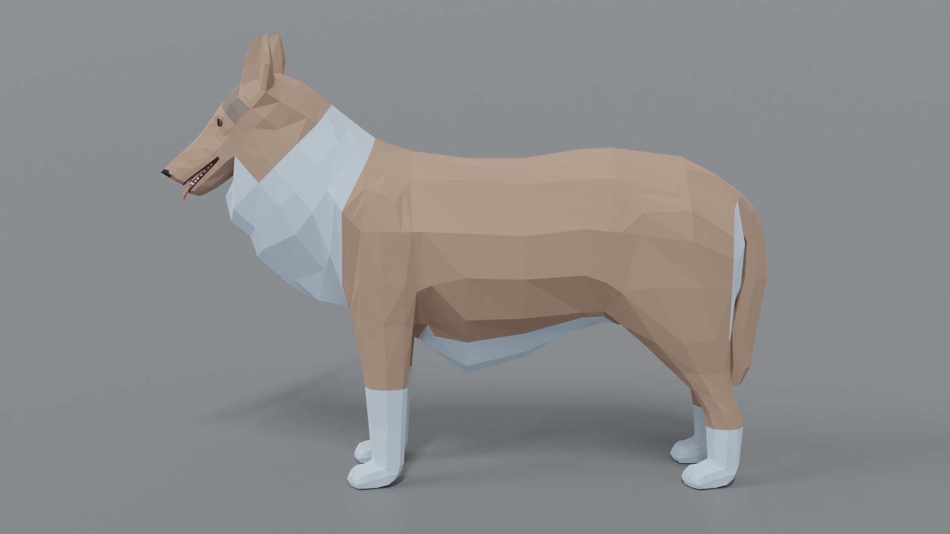 rough collie dog 3D model https://p.turbosquid.com/ts-thumb/yV/zR6ZWX/Hgz877UC/collie_02/png/1605651205/1920x1080/fit_q87/ccce89c4fe96ec6cad70215d2b518f1320930df2/collie_02.jpg