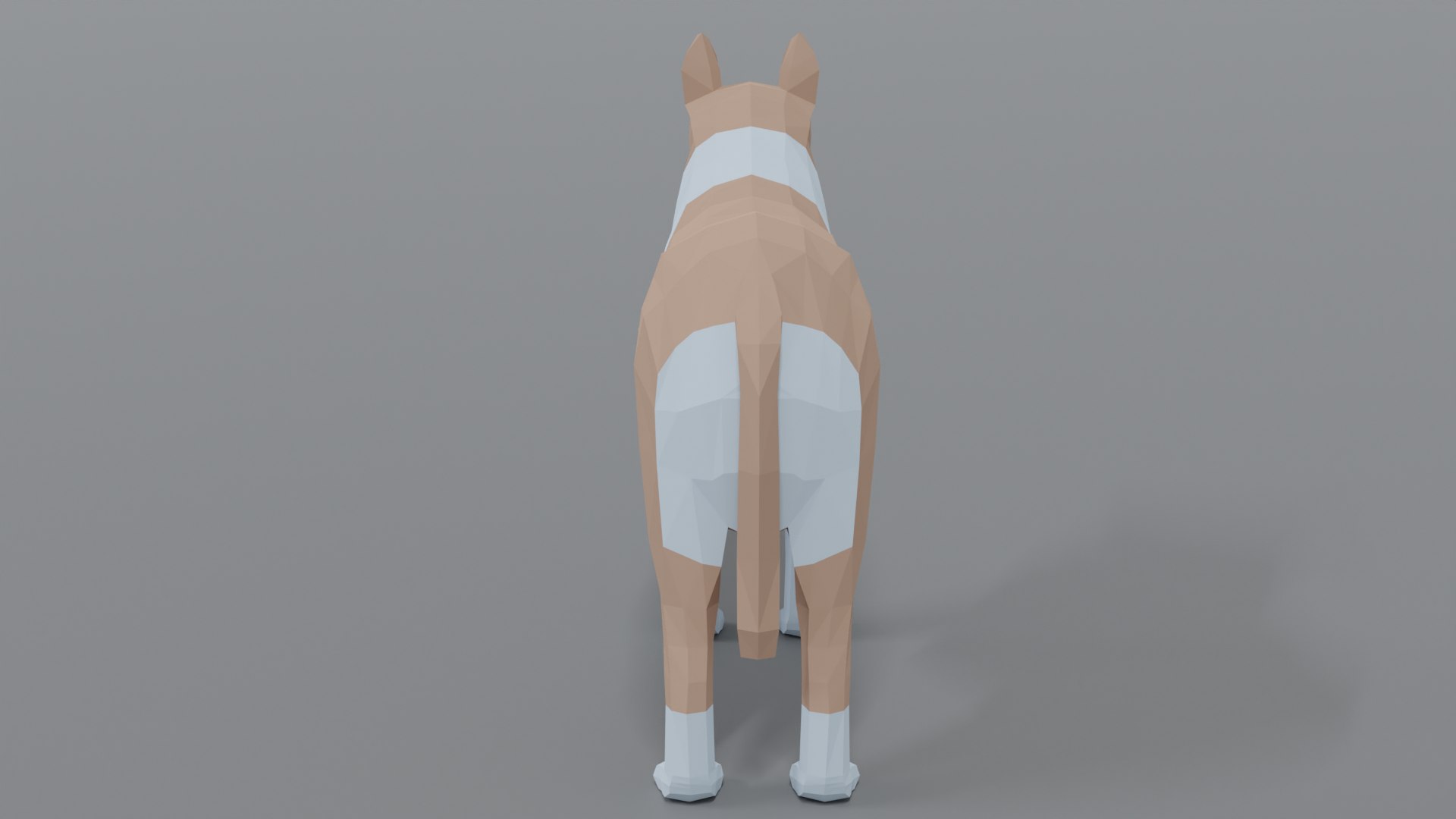 rough collie dog 3D model https://p.turbosquid.com/ts-thumb/yV/zR6ZWX/Ky6SYcce/collie_04/png/1605651205/1920x1080/fit_q87/83fa5ab90a7b742a51786eed78963a2e60487b26/collie_04.jpg