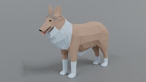 rough collie dog 3D model