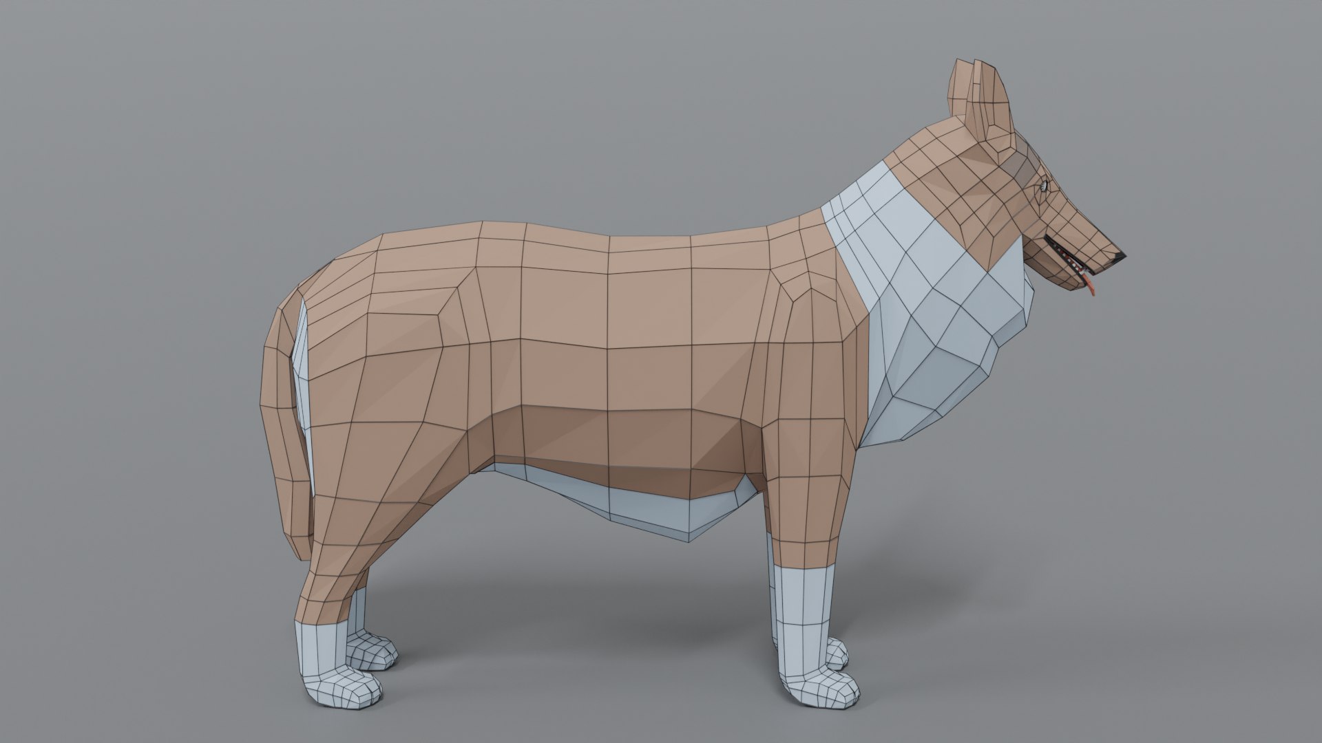 rough collie dog 3D model https://p.turbosquid.com/ts-thumb/yV/zR6ZWX/SyiZayFf/collie_15wire/png/1605651205/1920x1080/fit_q87/623049dbb91eca9c2b794de098c6db138c4ea87c/collie_15wire.jpg