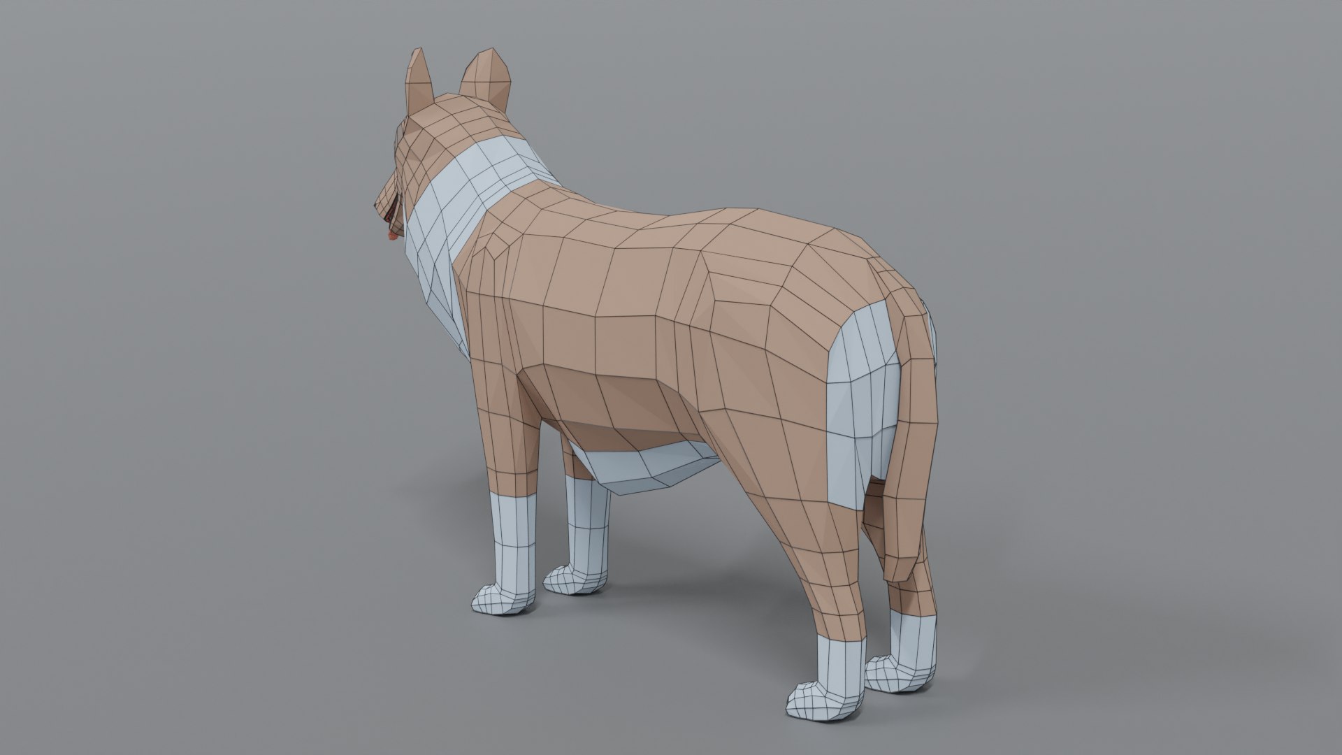 rough collie dog 3D model https://p.turbosquid.com/ts-thumb/yV/zR6ZWX/T0WBZnzI/collie_12wire/png/1605651205/1920x1080/fit_q87/bf3effe09405dc09414ad7445fdabae785e083a3/collie_12wire.jpg