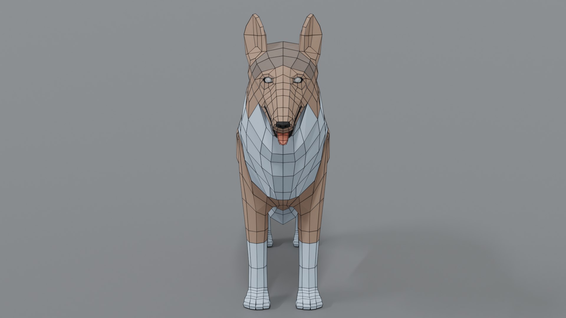 rough collie dog 3D model https://p.turbosquid.com/ts-thumb/yV/zR6ZWX/cqhiXWzx/collie_17wire/png/1605651205/1920x1080/fit_q87/116fd226c4dfde8a72c080569fc32a5352f86692/collie_17wire.jpg