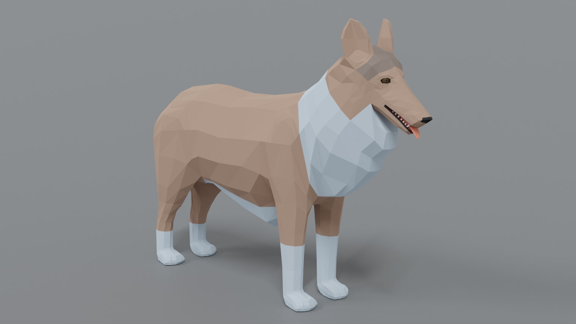rough collie dog 3D model https://p.turbosquid.com/ts-thumb/yV/zR6ZWX/i5soztTs/collie_07/png/1605651205/1920x1080/fit_q87/6372bf3e807e3612d8ad202b8f1011cac17940bb/collie_07.jpg
