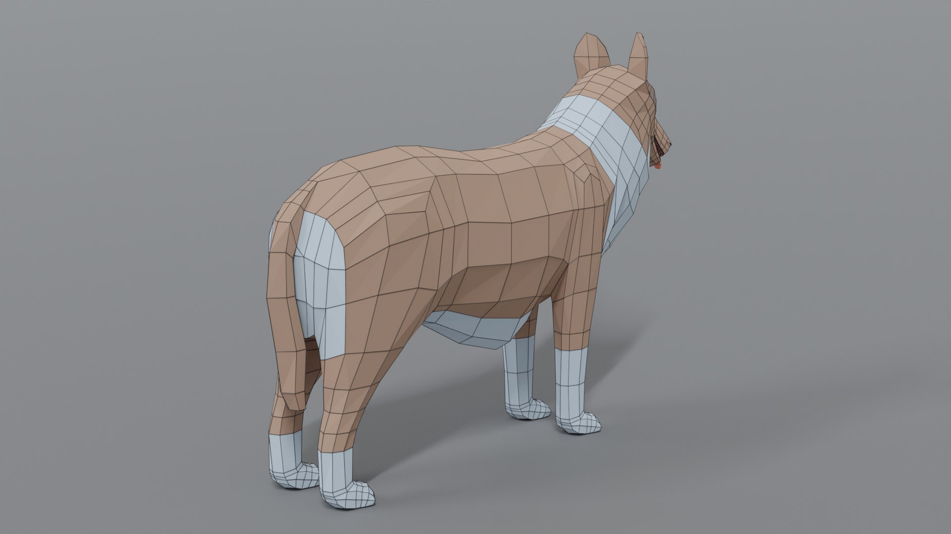 rough collie dog 3D model https://p.turbosquid.com/ts-thumb/yV/zR6ZWX/iajg0gUr/collie_14wire/png/1605651205/1920x1080/fit_q87/7690ebf2a952373868b0a700adc24ebf0f5e0377/collie_14wire.jpg
