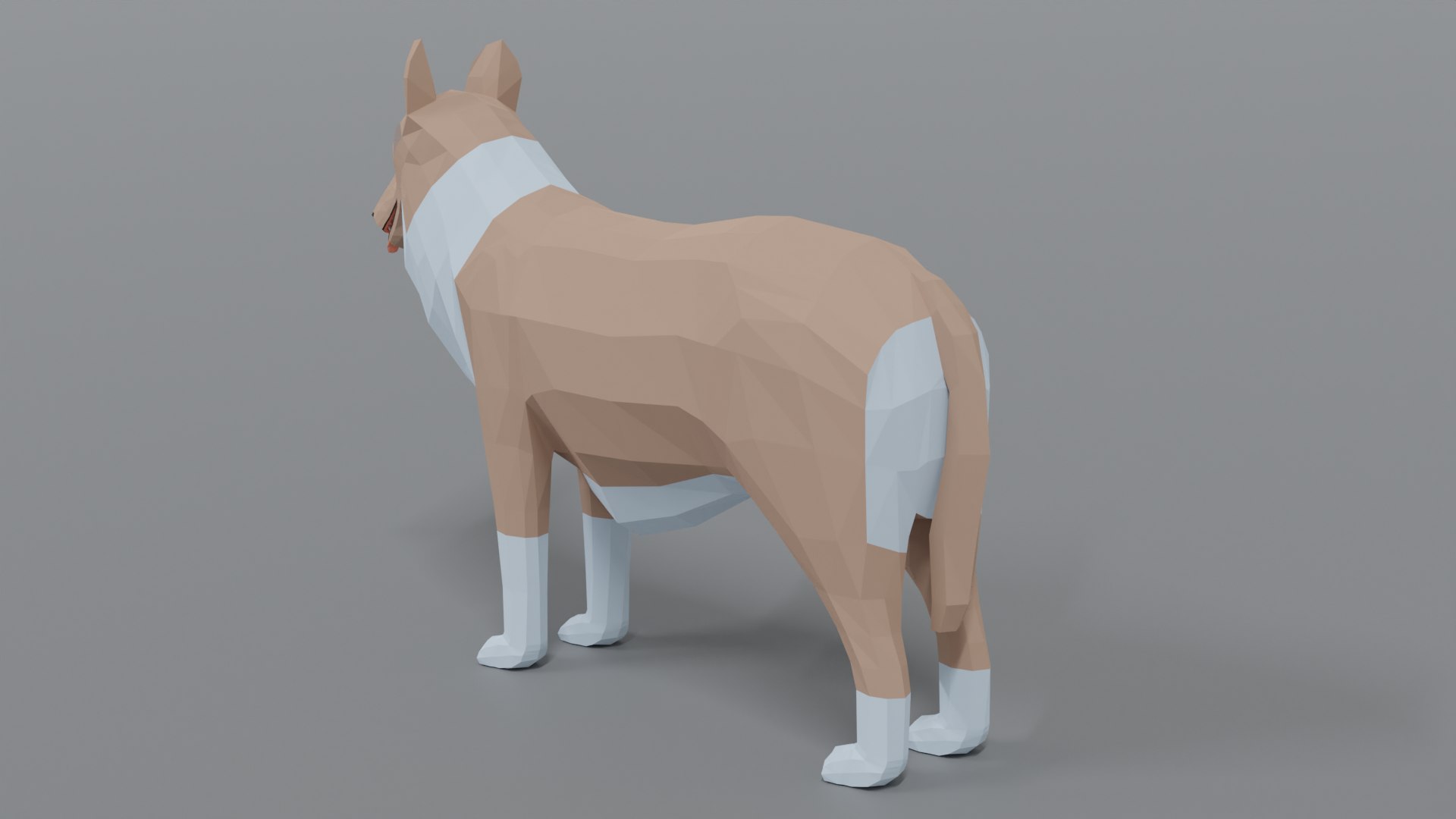 rough collie dog 3D model https://p.turbosquid.com/ts-thumb/yV/zR6ZWX/jQlWLYJi/collie_03/png/1605651205/1920x1080/fit_q87/f602b6be78c53fa5df15224a4b70854872249ba2/collie_03.jpg