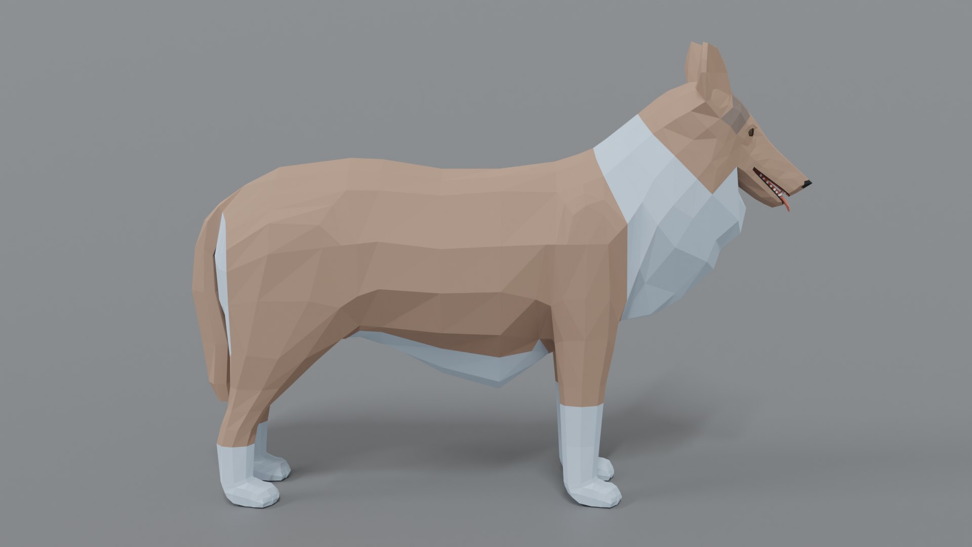 rough collie dog 3D model https://p.turbosquid.com/ts-thumb/yV/zR6ZWX/nklkyF38/collie_06/png/1605651205/1920x1080/fit_q87/45f46ea2b3febcb49beea6e9b96028044465f695/collie_06.jpg