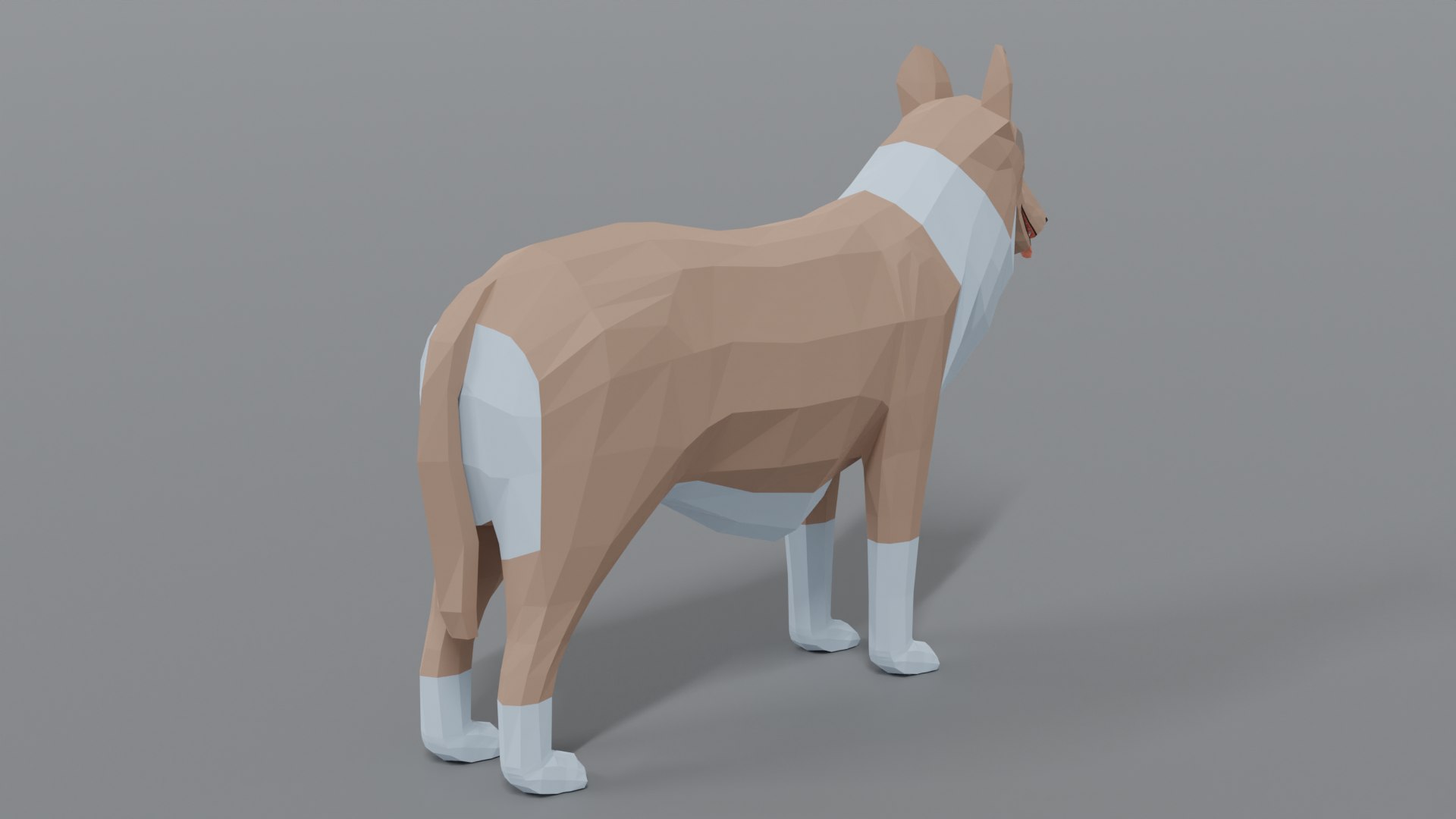 rough collie dog 3D model https://p.turbosquid.com/ts-thumb/yV/zR6ZWX/oNtL4naW/collie_05/png/1605651205/1920x1080/fit_q87/957e6e0df1522c5c5555722380c5dd39678f1819/collie_05.jpg