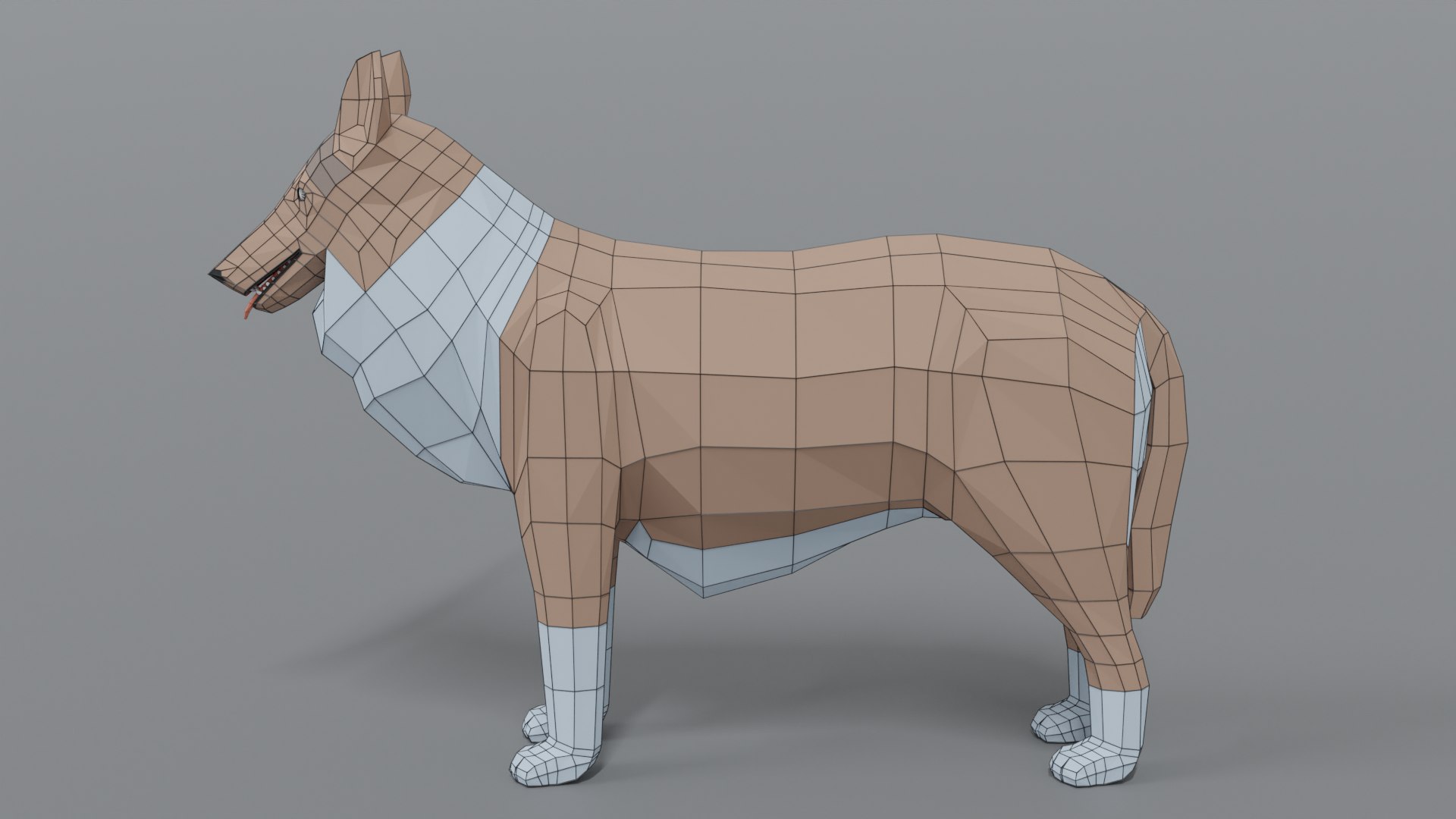 rough collie dog 3D model https://p.turbosquid.com/ts-thumb/yV/zR6ZWX/s8yMDNfP/collie_11wire/png/1605651205/1920x1080/fit_q87/4d35ddf11fa0bc39d85c5ac77820ddaddf9e8bb1/collie_11wire.jpg