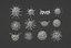 3D Collection of viruses and cells