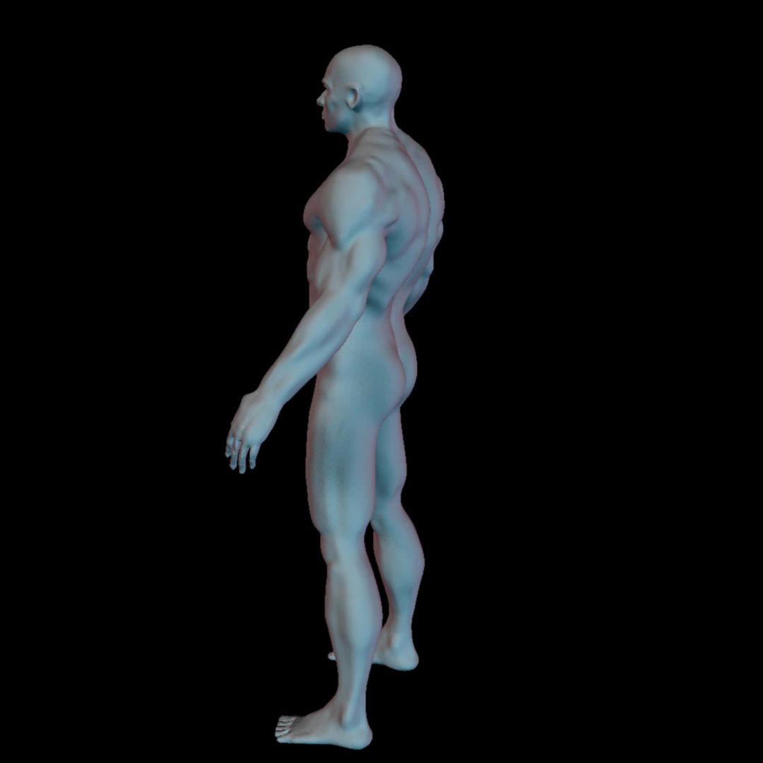 Human Man Character 3d Model