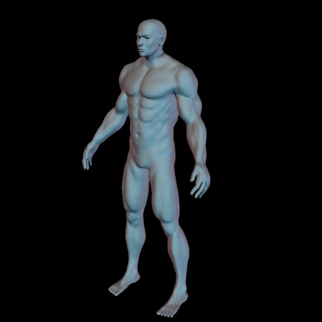 Human Man Character 3d Model