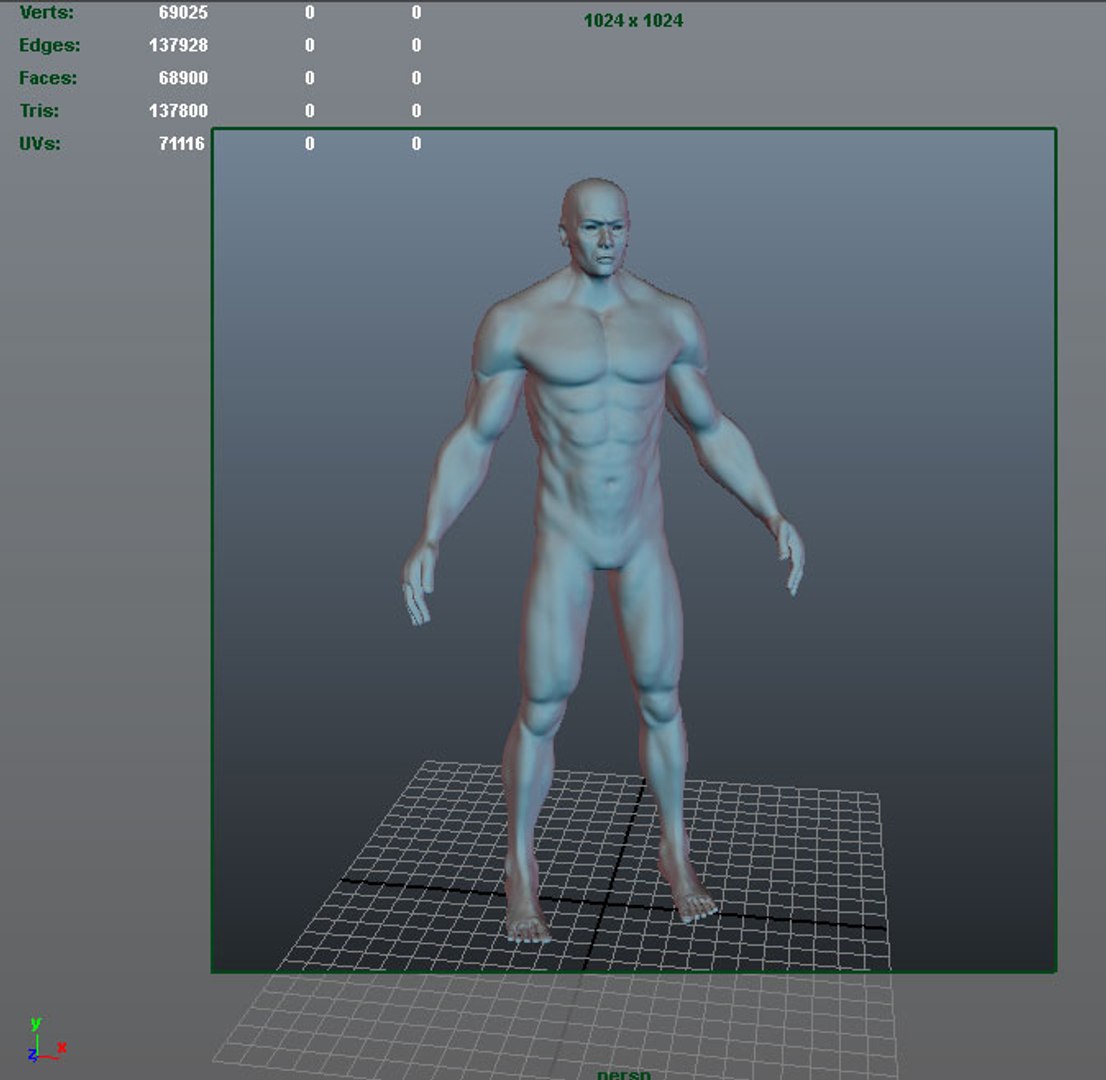 Human Man Character 3d Model