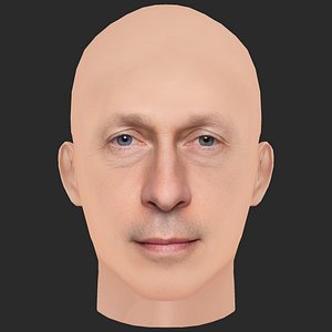 Low Poly Tim Blake Nelson Head