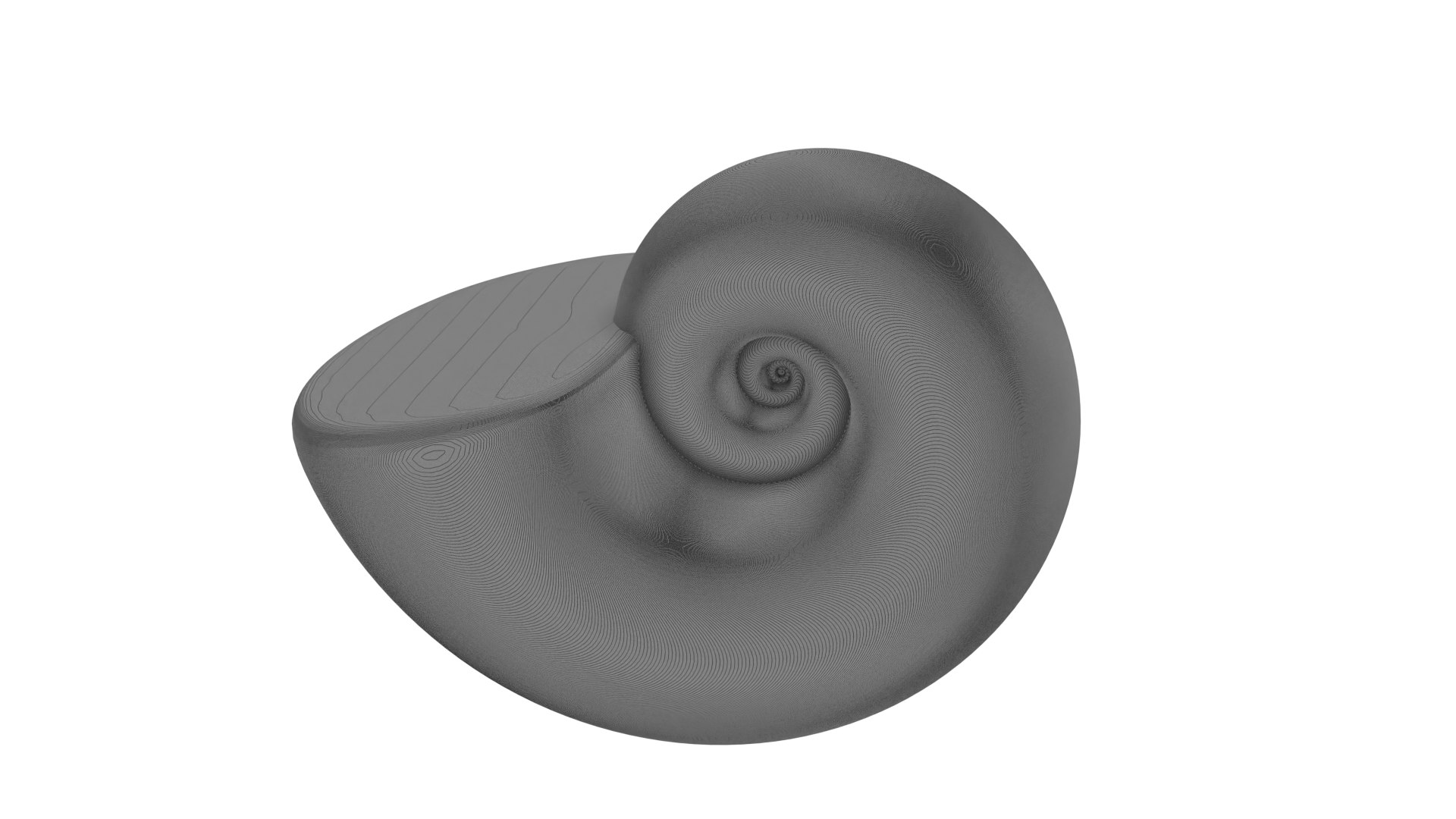3D Ammonoid shell Paraspiticeras https://p.turbosquid.com/ts-thumb/yW/DeqMS3/5q/wire5/png/1733680704/1920x1080/fit_q87/d4aba69fc5dac7d1217ed5d985ef28a1a9762c42/wire5.jpg