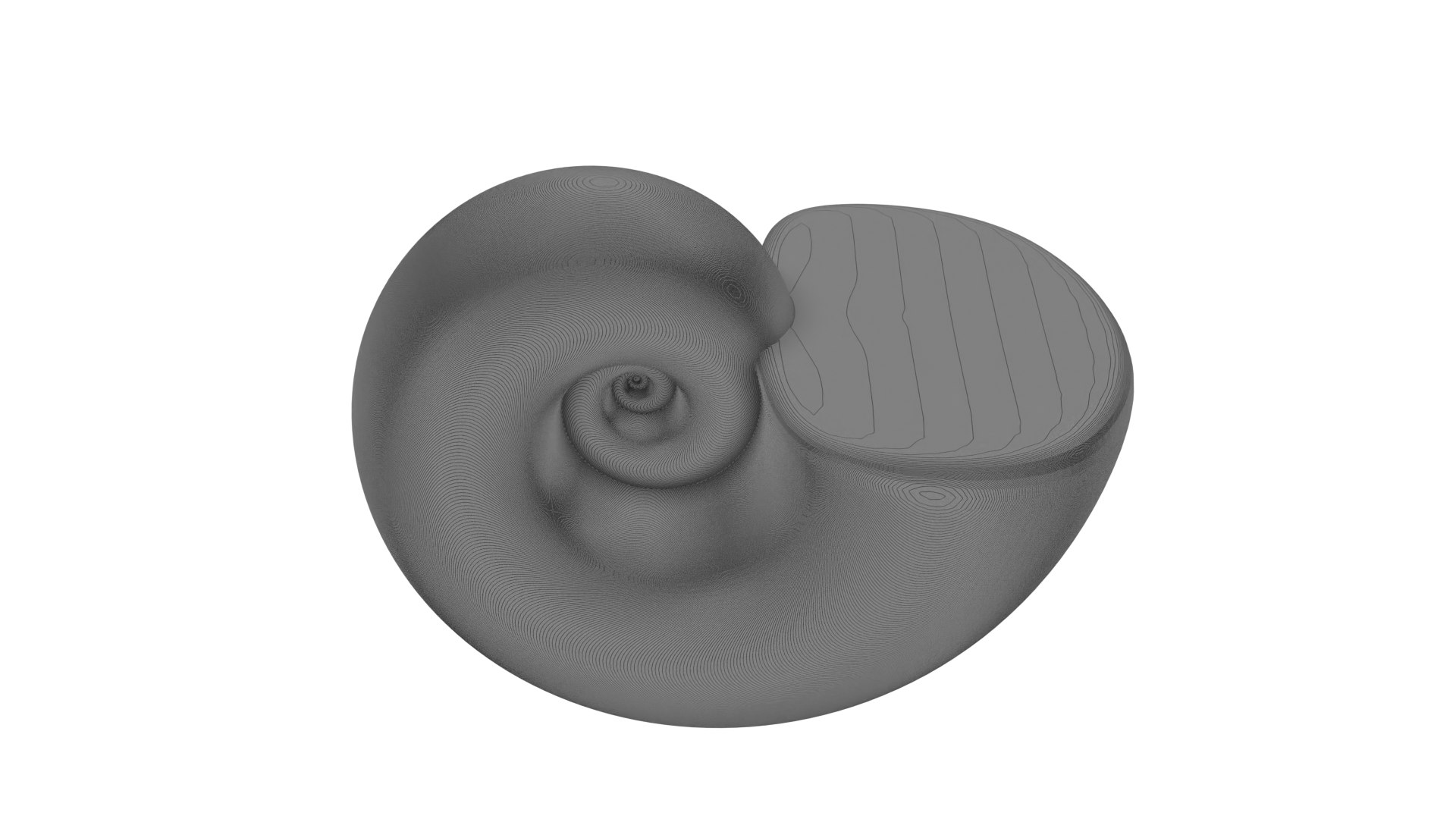 3D Ammonoid shell Paraspiticeras https://p.turbosquid.com/ts-thumb/yW/DeqMS3/Li/wire4/png/1733680704/1920x1080/fit_q87/10e7aaff9ab2b218434cd4ca08c962b7b0dea788/wire4.jpg