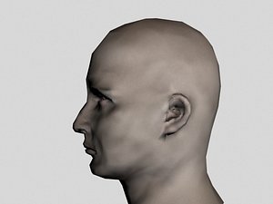 head