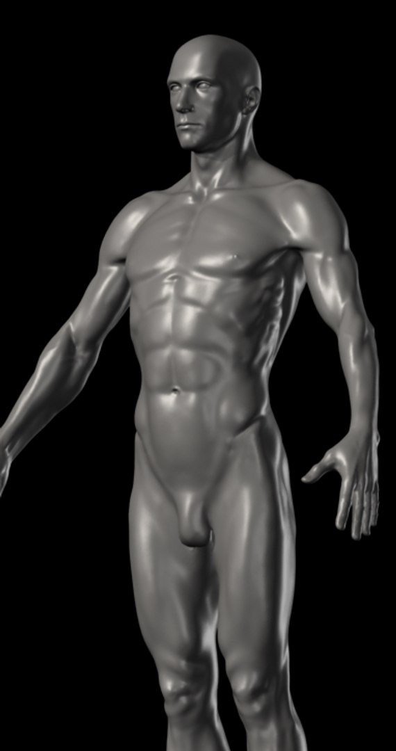 human ztl 3d model https://p.turbosquid.com/ts-thumb/yW/O4uqxW/3IUR2KvD/man_4/jpg/1263255296/1920x1080/fit_q87/72c63a82fa8a9515495e35e297b8765a36543c78/man_4.jpg