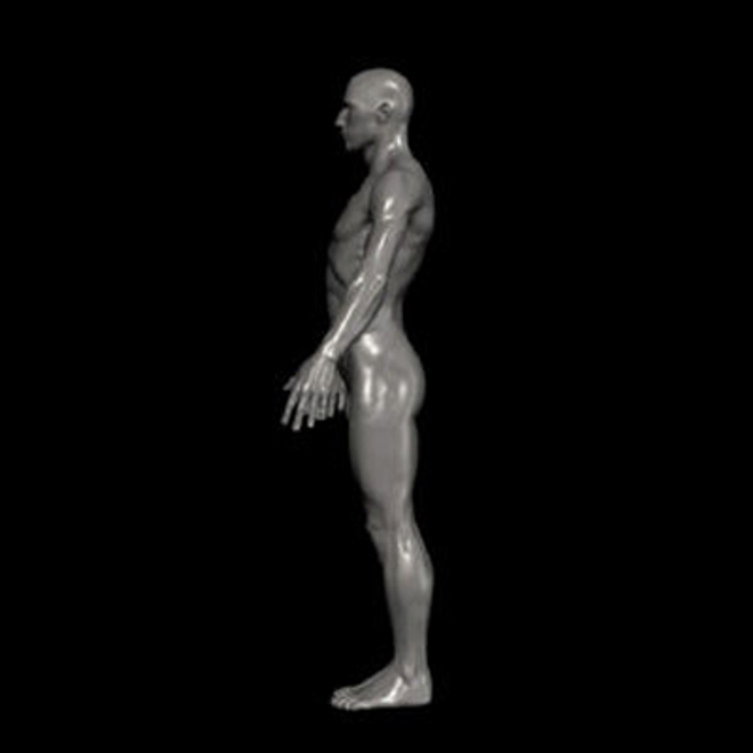 human ztl 3d model https://p.turbosquid.com/ts-thumb/yW/O4uqxW/5gZz3qaN/5/jpg/1263255257/1920x1080/fit_q87/ec5cb8ccb192efcac438739398b4c05a2c7ae7ef/5.jpg