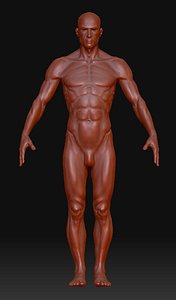 Man.ZTL