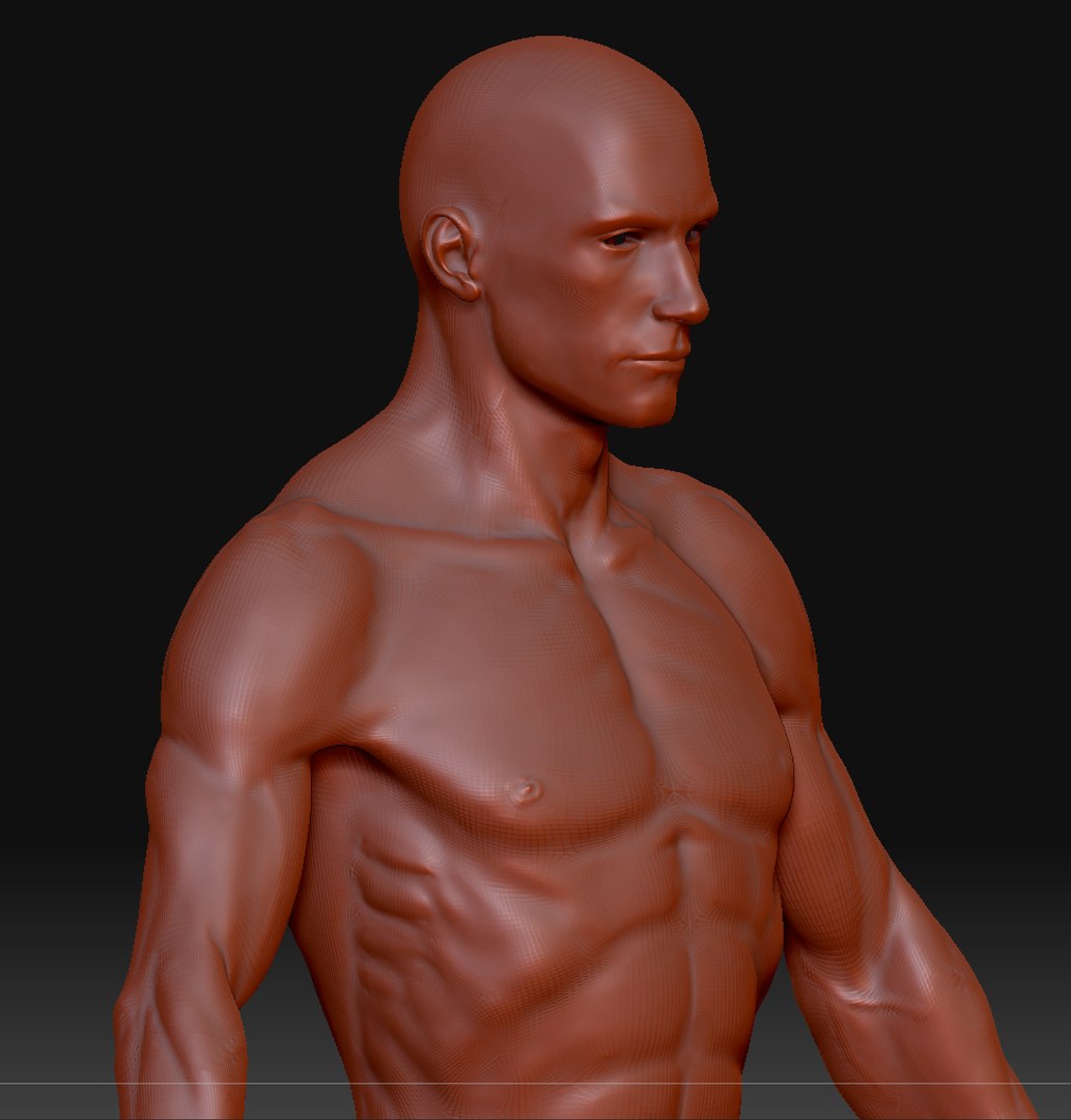 human ztl 3d model https://p.turbosquid.com/ts-thumb/yW/O4uqxW/DK3SdN2T/6/png/1263256038/1920x1080/fit_q87/f279f9eb0f8a29c2a590ac88bb8eb20af1fccaaf/6.jpg