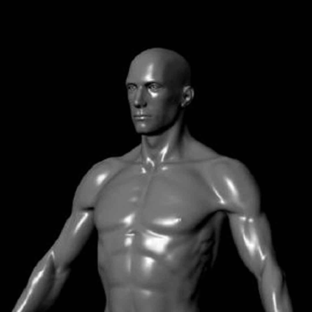 human ztl 3d model https://p.turbosquid.com/ts-thumb/yW/O4uqxW/Di0vot7V/4/jpg/1263255257/1920x1080/fit_q87/ca278f4bc2e2310c72f46a7c4dbd25d03ddc2ff2/4.jpg