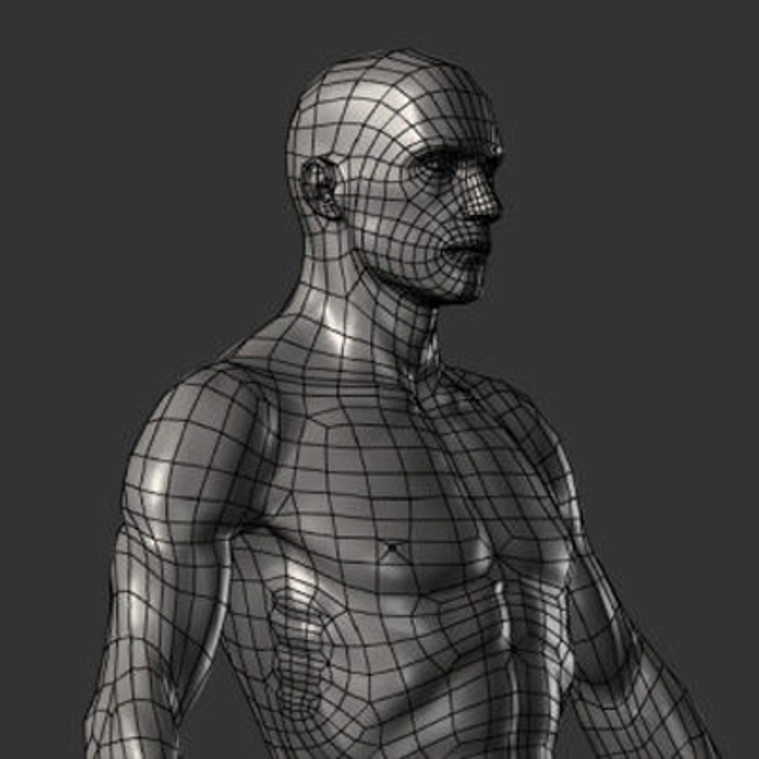 human ztl 3d model https://p.turbosquid.com/ts-thumb/yW/O4uqxW/b3f8KwSn/12/jpg/1263255256/1920x1080/fit_q87/1d70ddb9694d6885101937cd0aaadae2a0be78da/12.jpg
