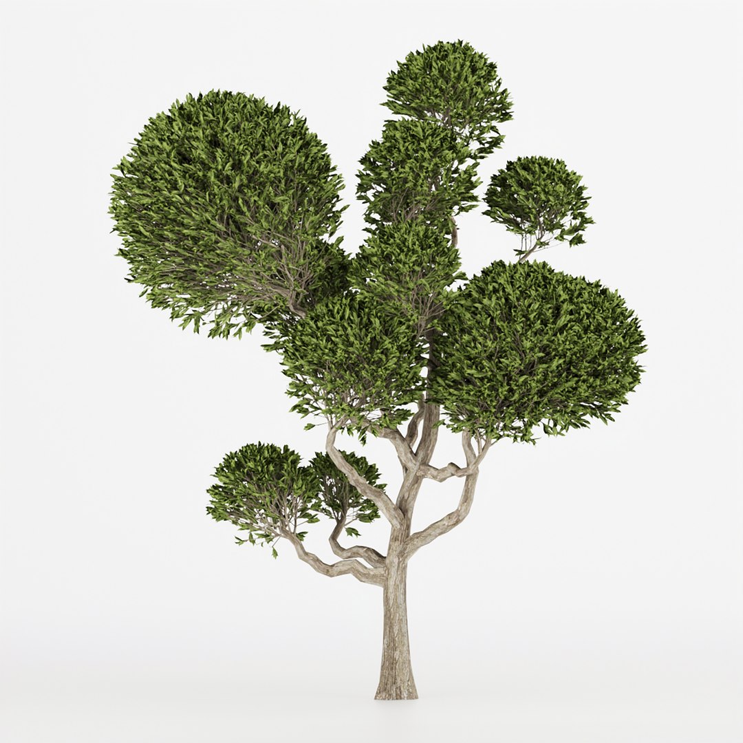 3D Model Collection Tree Vol 1 - TurboSquid 1946173