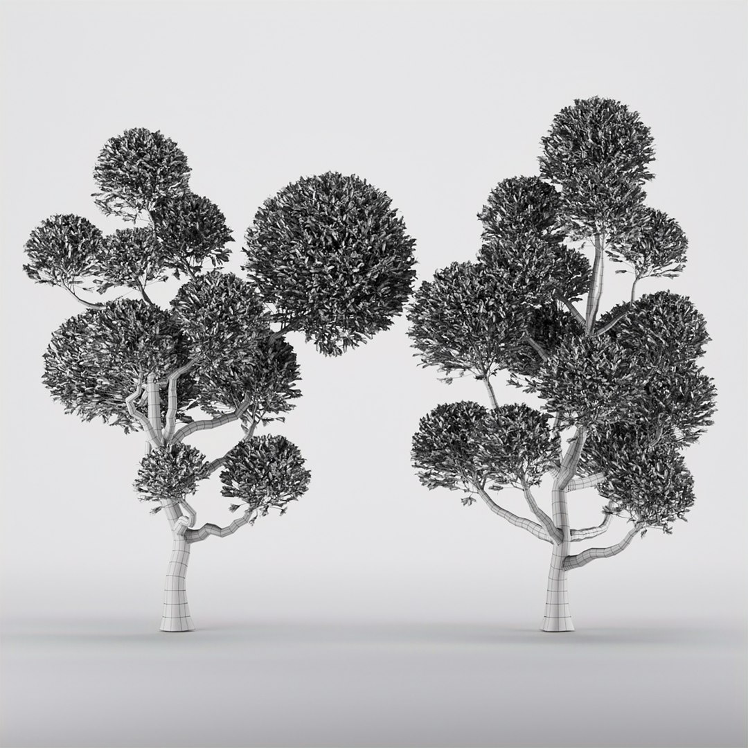 3D Model Collection Tree Vol 1 - TurboSquid 1946173
