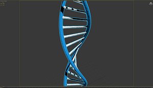 3d dna