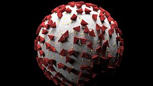 corona virus 3dmodel