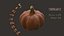 pumpkin food 3D model