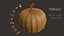 pumpkin food 3D model