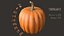 pumpkin food 3D model