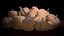 pumpkin food 3D model