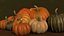pumpkin food 3D model