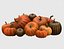 pumpkin food 3D model