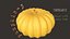 pumpkin food 3D model