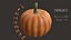 pumpkin food 3D model