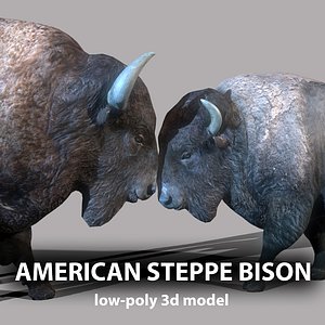 AMERICAN STEPPE BISON Low-poly 3D model 3D model