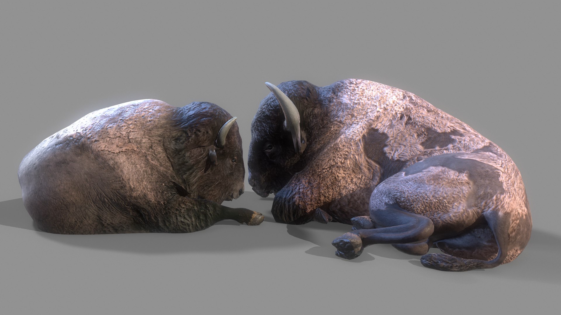 AMERICAN STEPPE BISON Low-poly 3D model 3D model https://p.turbosquid.com/ts-thumb/yX/8BDeqM/W0/screenshot011/png/1642310874/1920x1080/fit_q87/3ba105e1f68a06ae09457749b54589e05616078c/screenshot011.jpg