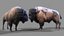 АМЕРИКАНСКИЙ СТЕПНОЙ БИЗОН Низкополигональная 3D модель