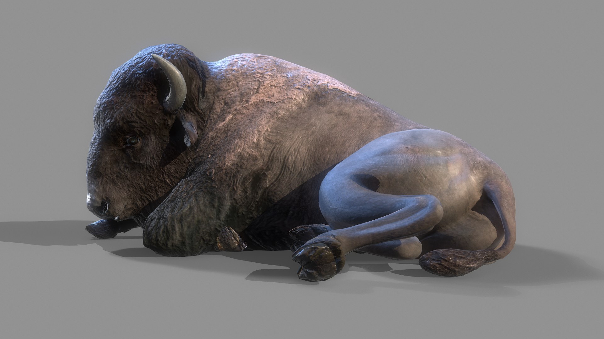 AMERICAN STEPPE BISON Low-poly 3D model 3D model https://p.turbosquid.com/ts-thumb/yX/8BDeqM/qC/screenshot010/png/1642310857/1920x1080/fit_q87/8d2be098bced94695082d5967f6a2bbee19ee1bd/screenshot010.jpg
