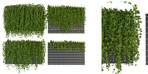 Collection plant vol 316 - blender model 3D model
