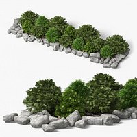 Landscape Shrub Border with Stones Green Gray