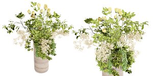 Collection plant vol 49 - blender model 3D model