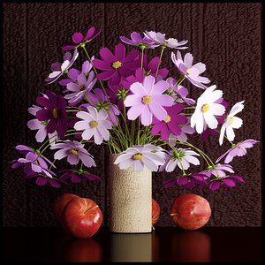 cosmos