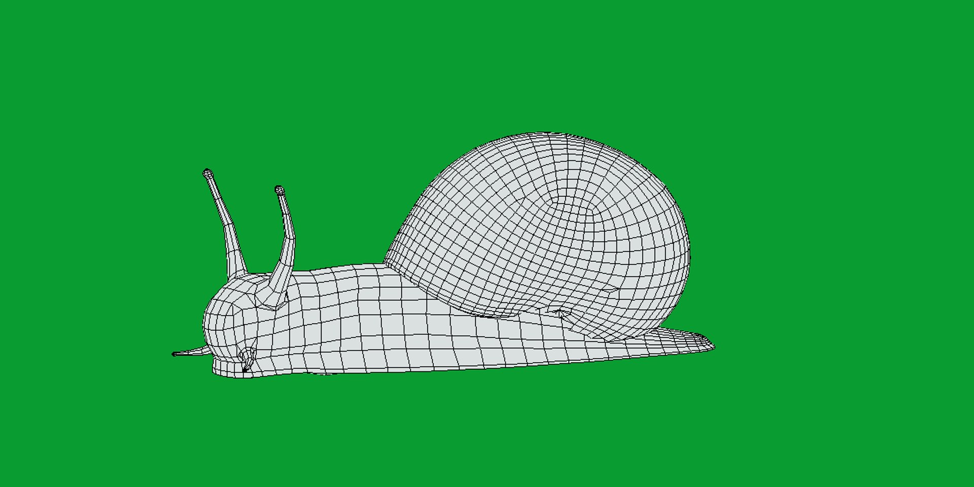 Garden Snail 3D Model - TurboSquid 2375638